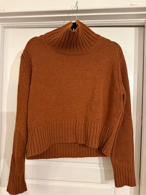 &daughter Ribbed Turtleneck Sweater in Rust